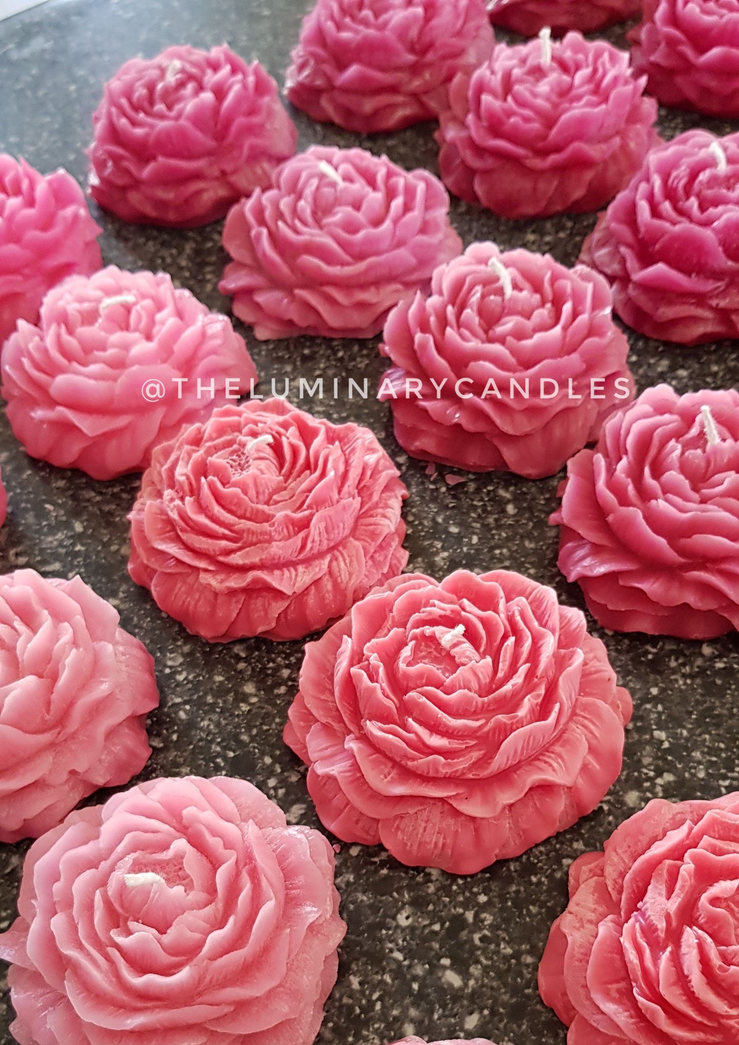 The Peony
