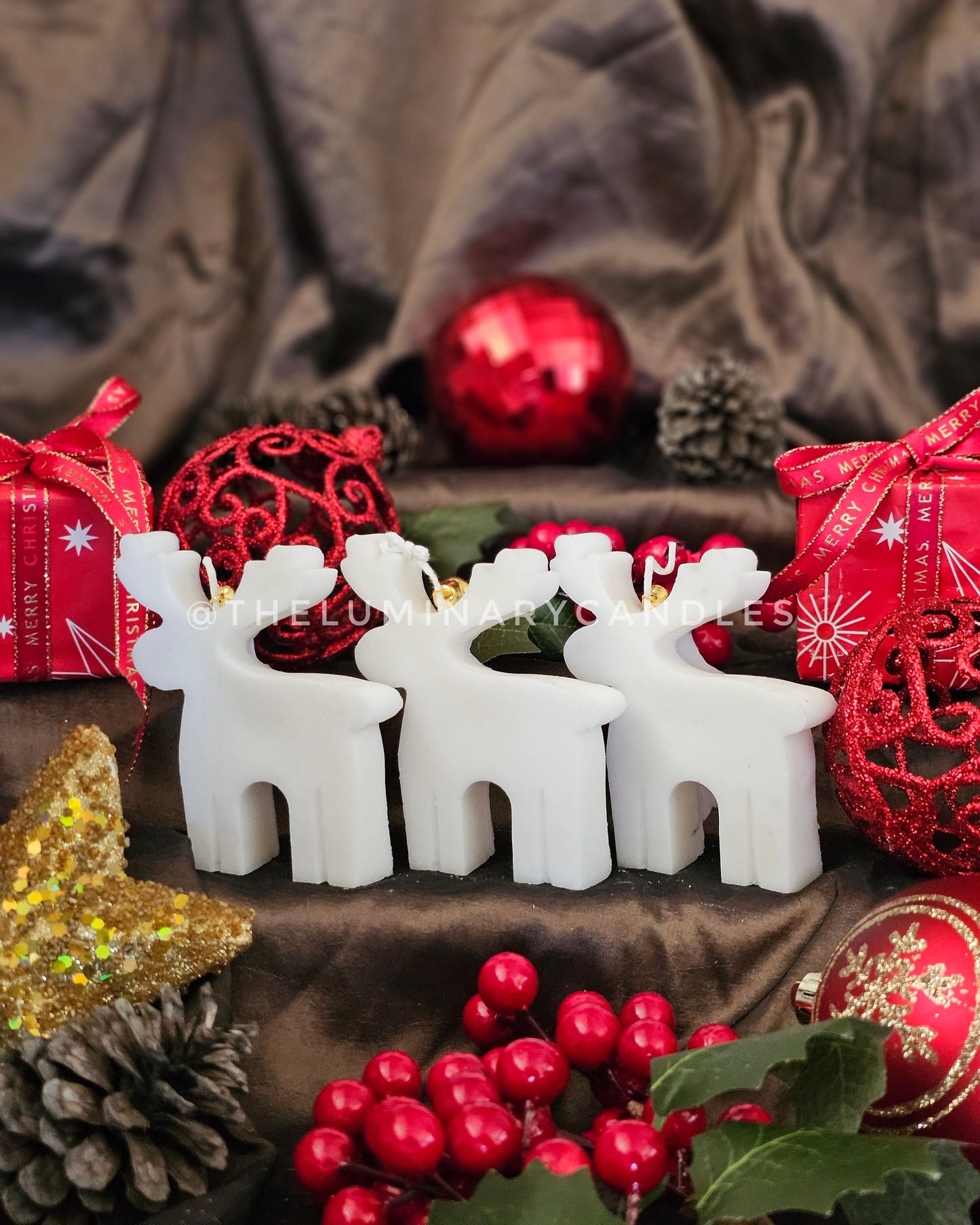 Reindeer