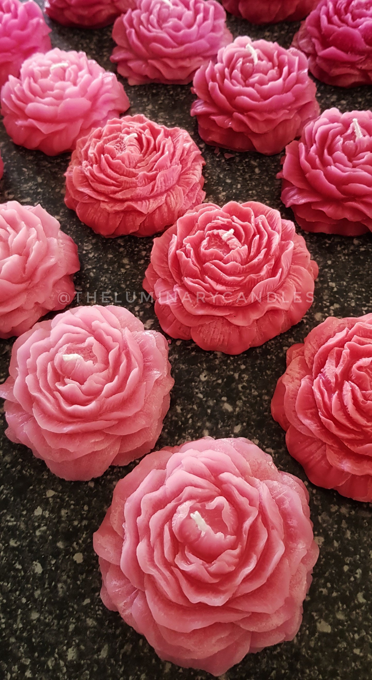 The Peony